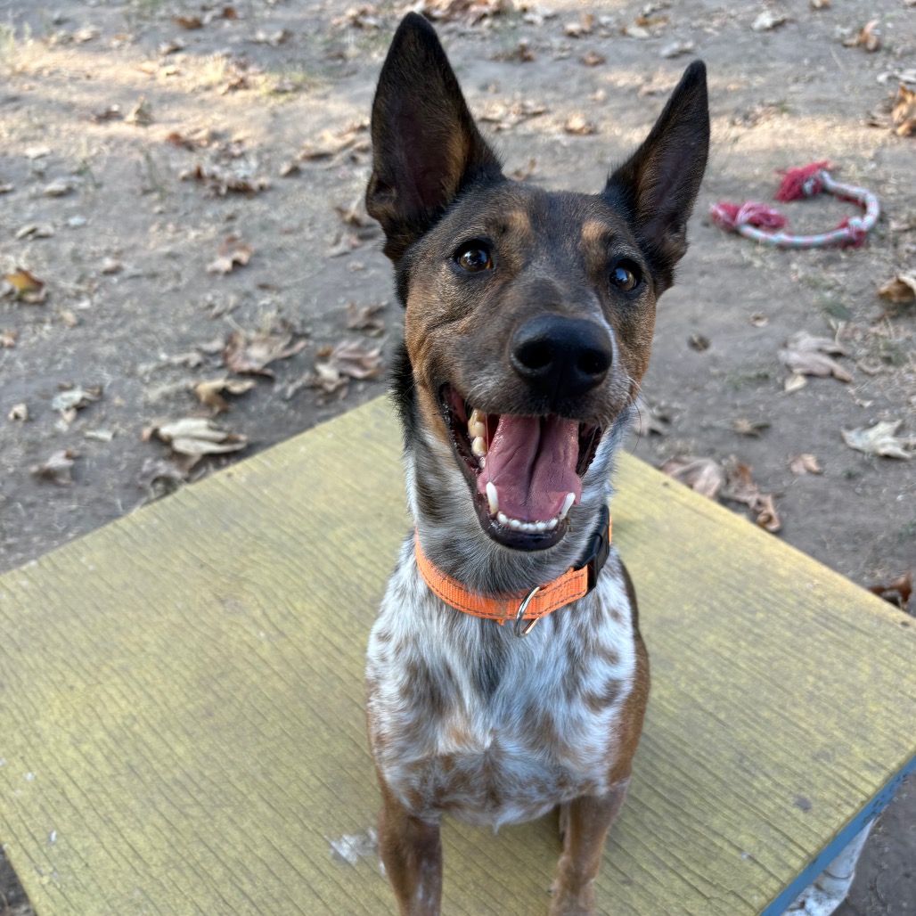 Cash, photo 37