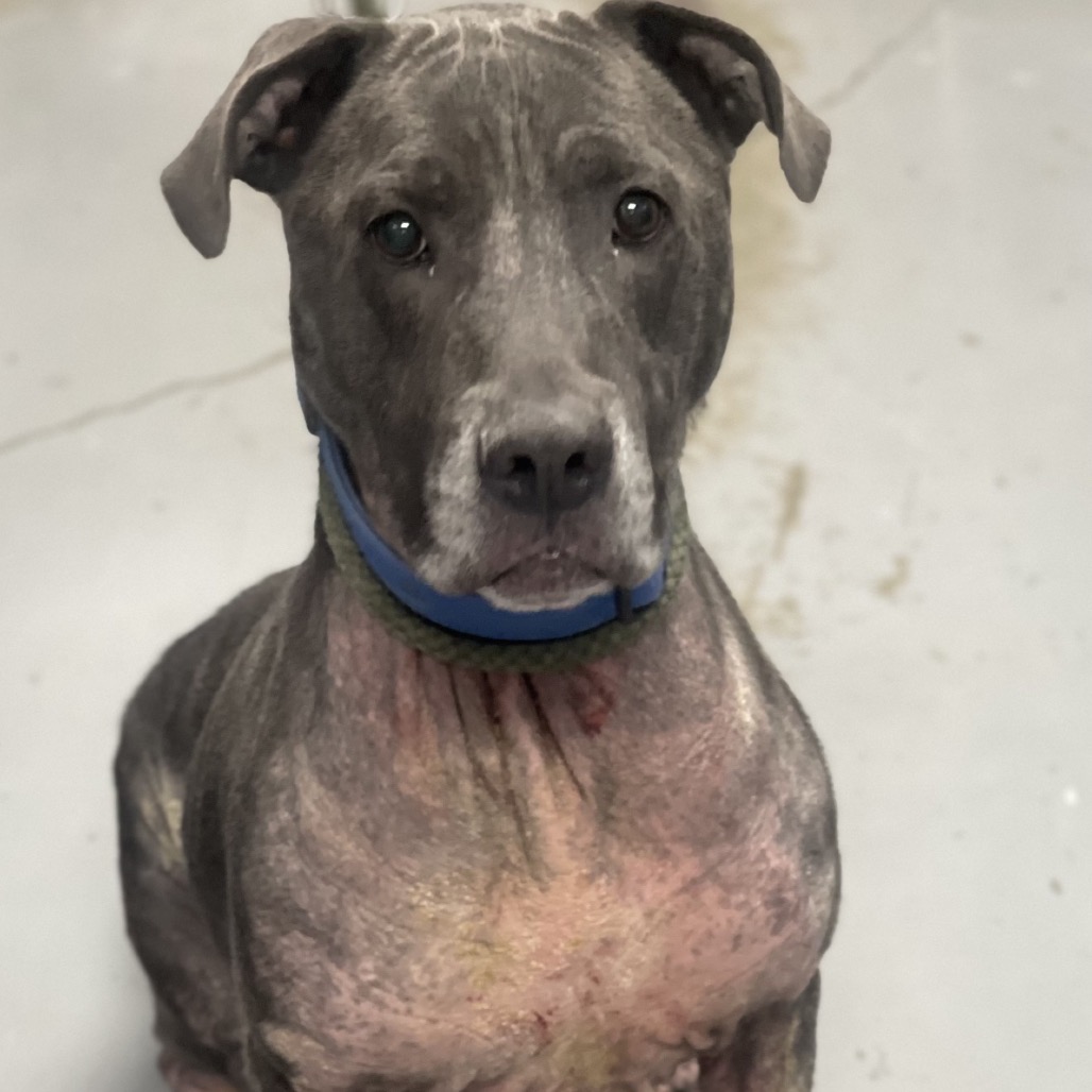 Dior — thumbnail 2