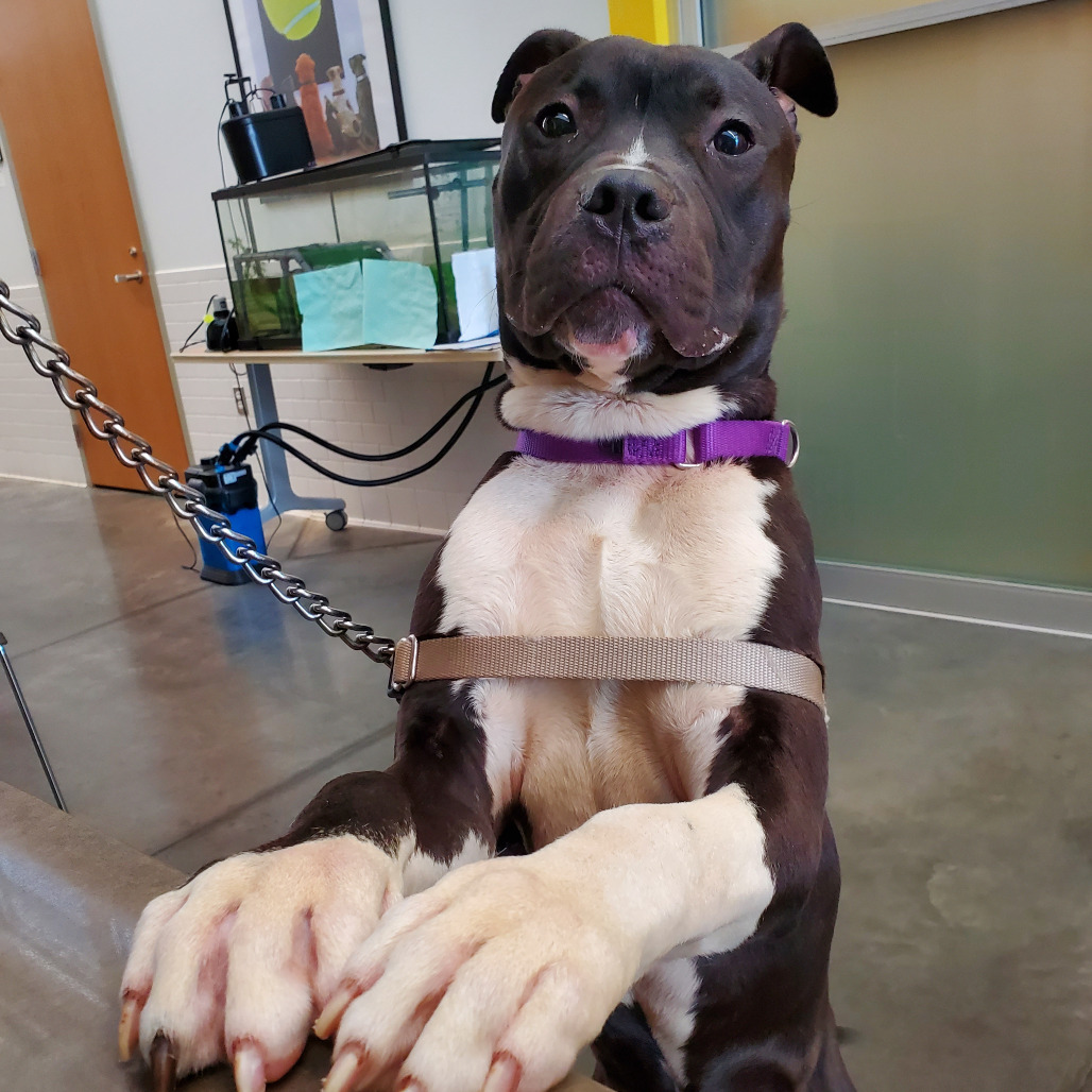 Photo of Zipper 3