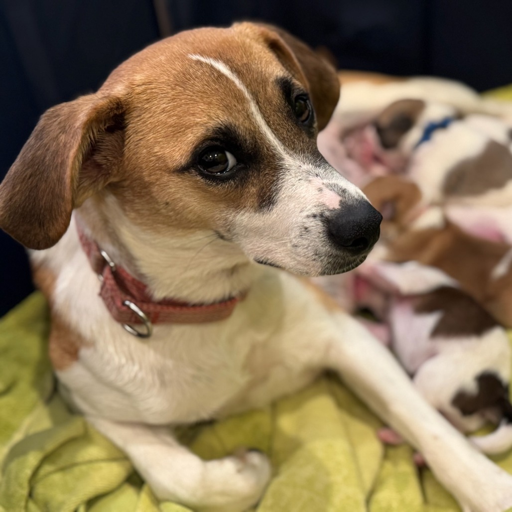 Katy — thumbnail 3