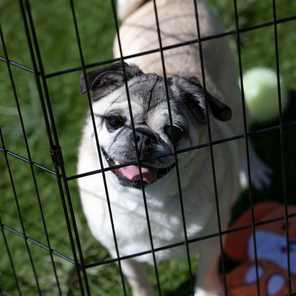 Bohdi (JA26-40), photo 9