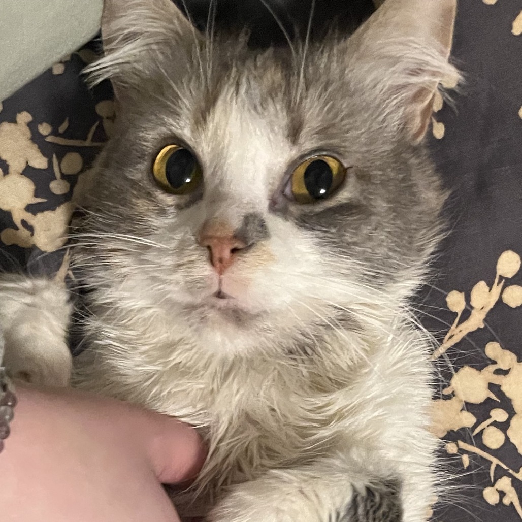 Earth — thumbnail 5