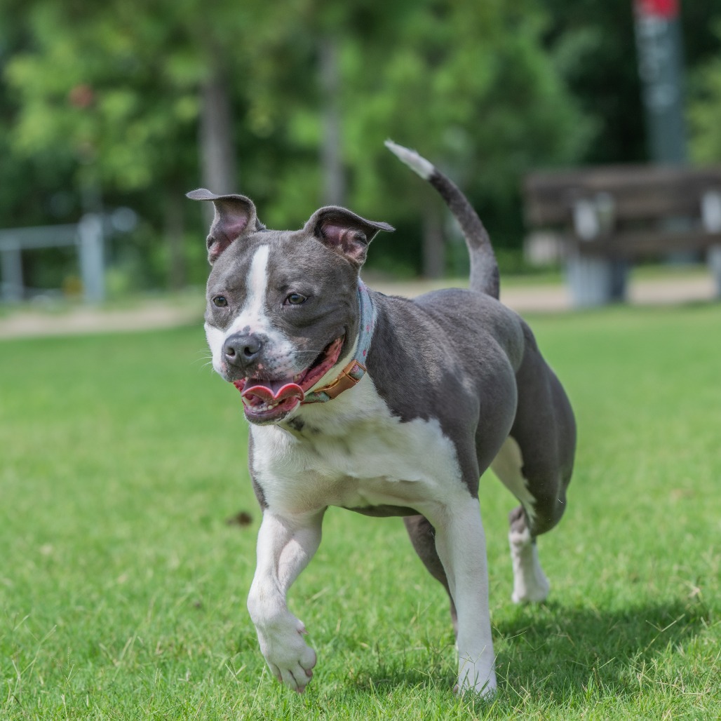 Ruby aka Woobie (Formerly Rosie), photo 14