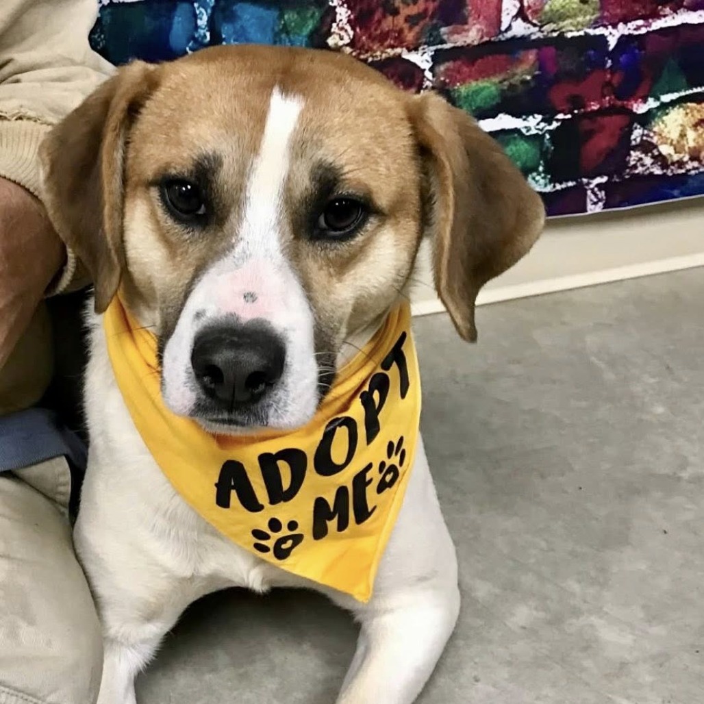 Jack — thumbnail 3