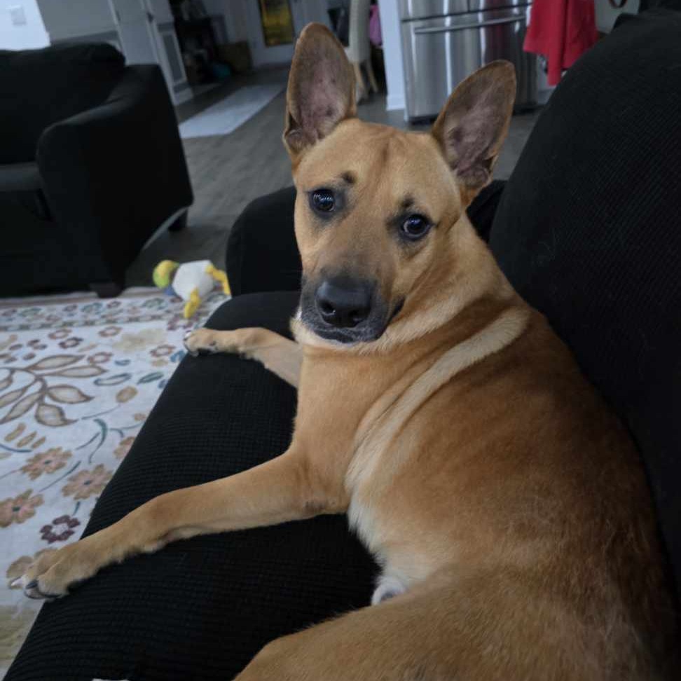 Julian — thumbnail 4