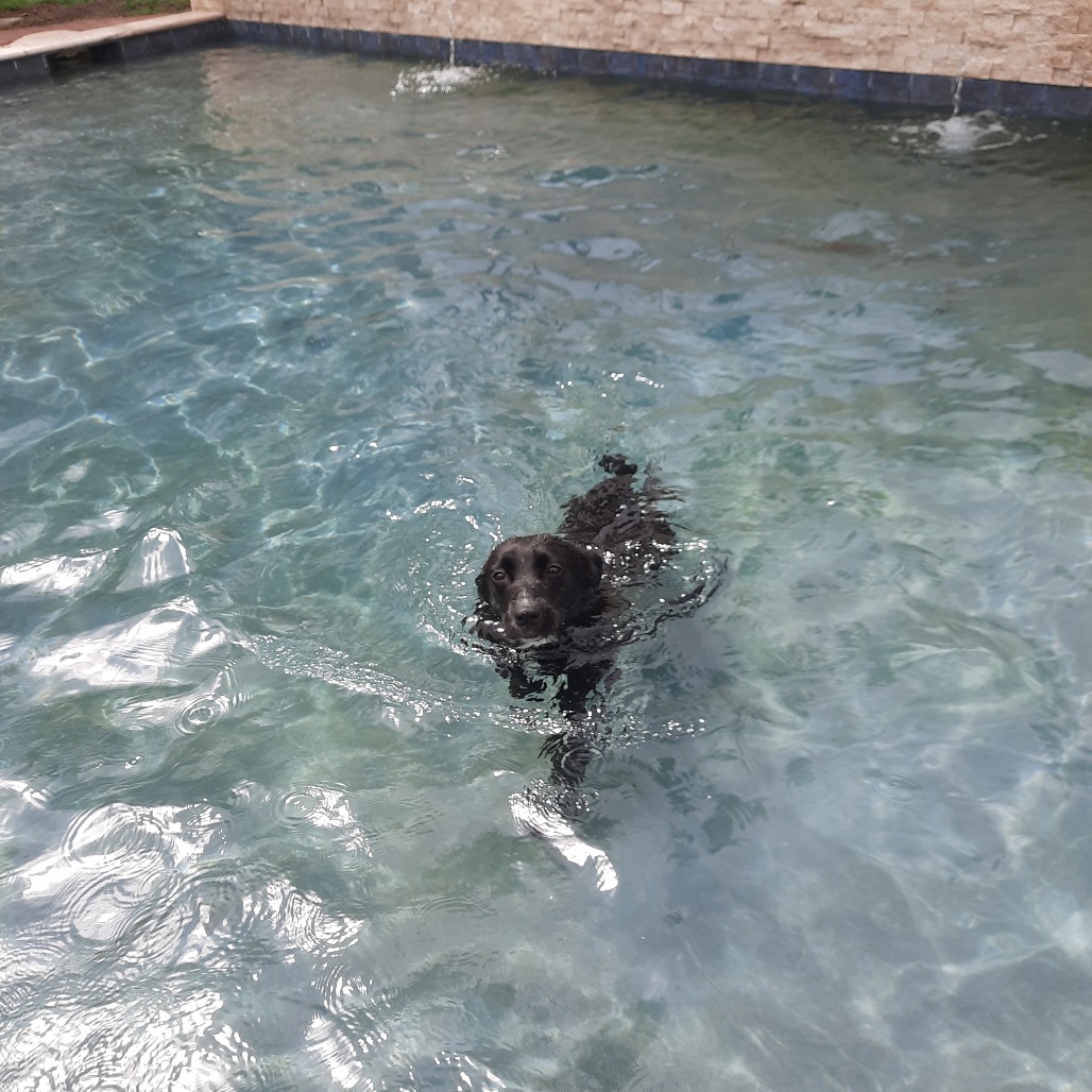 Ruby photo 11