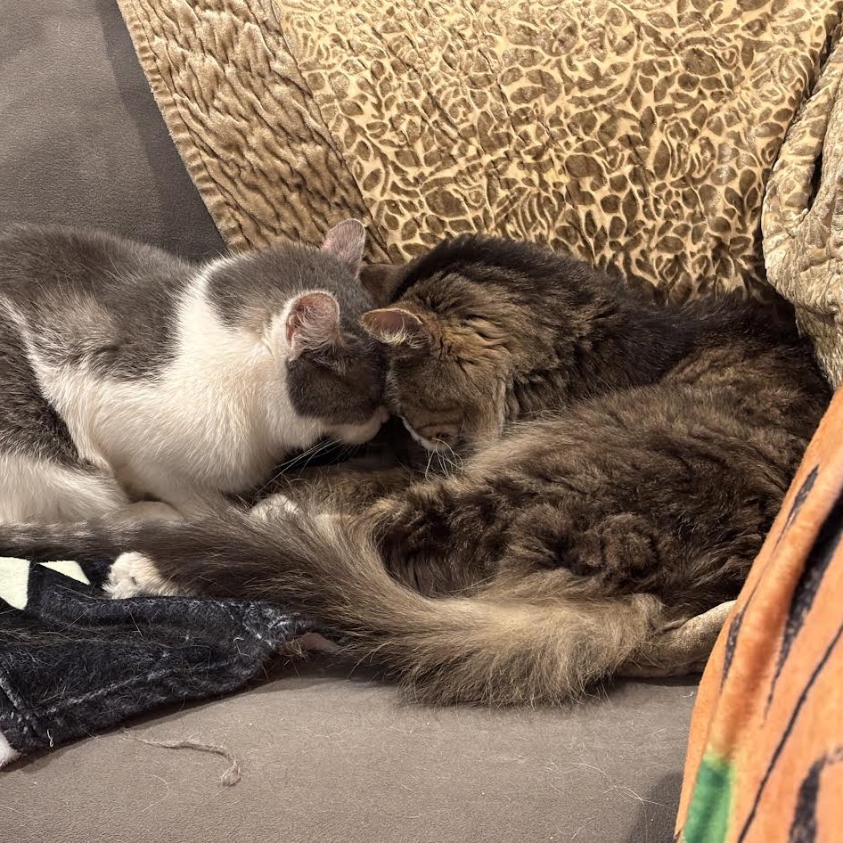 Franklin Parsons and Freddie Pesto - We're a bonded pair! — thumbnail 2