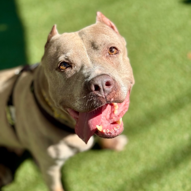 Close-up photo of Paige