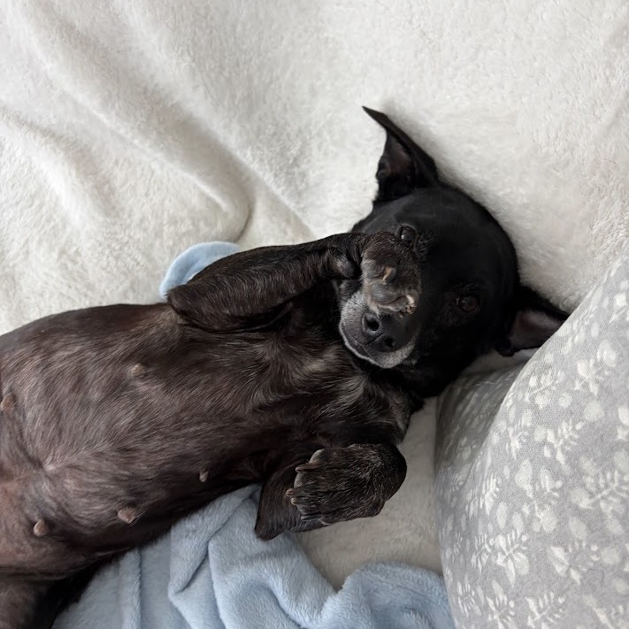 Betty, photo 9