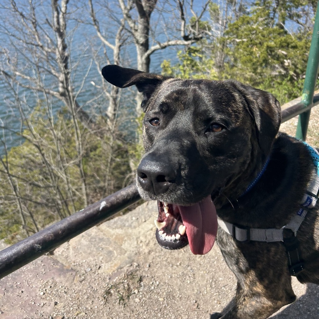 Earl, photo 12