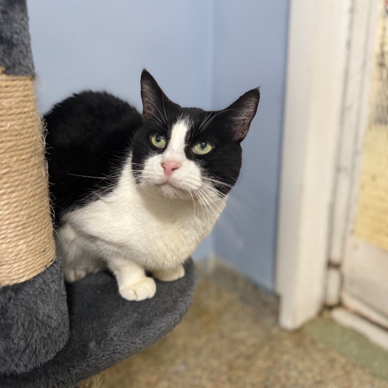 Photo of Moo Moo playing