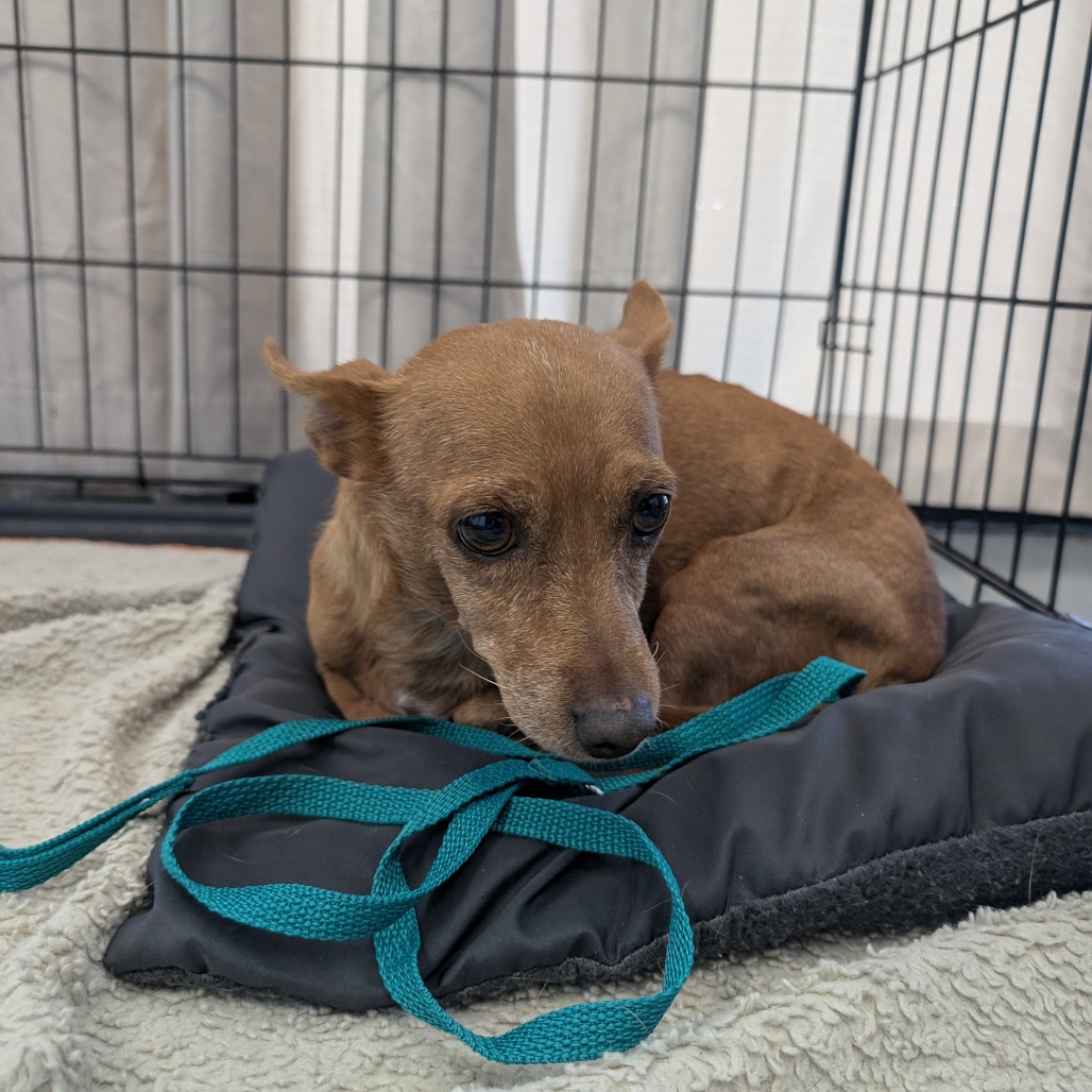 Luma — thumbnail 3