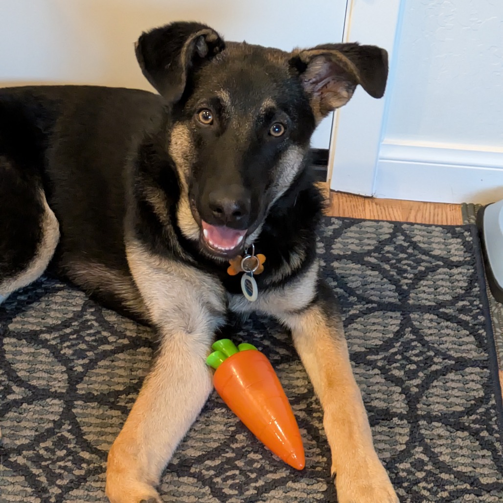 Mars — thumbnail 2