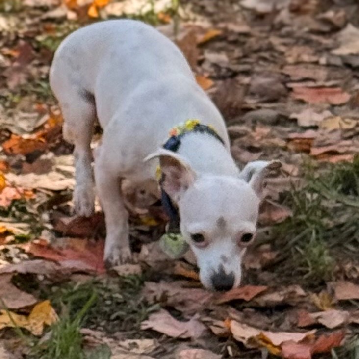 MINNIE, photo 23