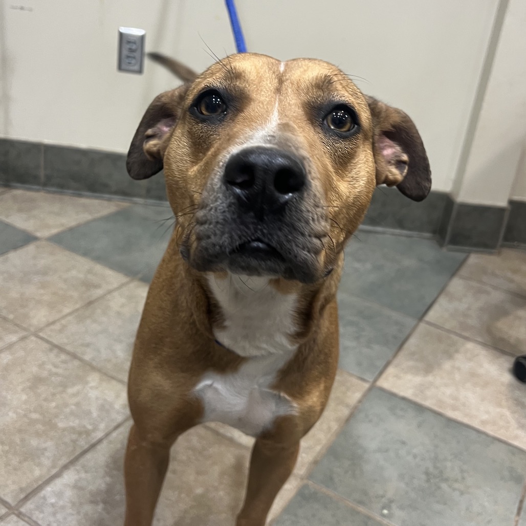 Maggie — thumbnail 5