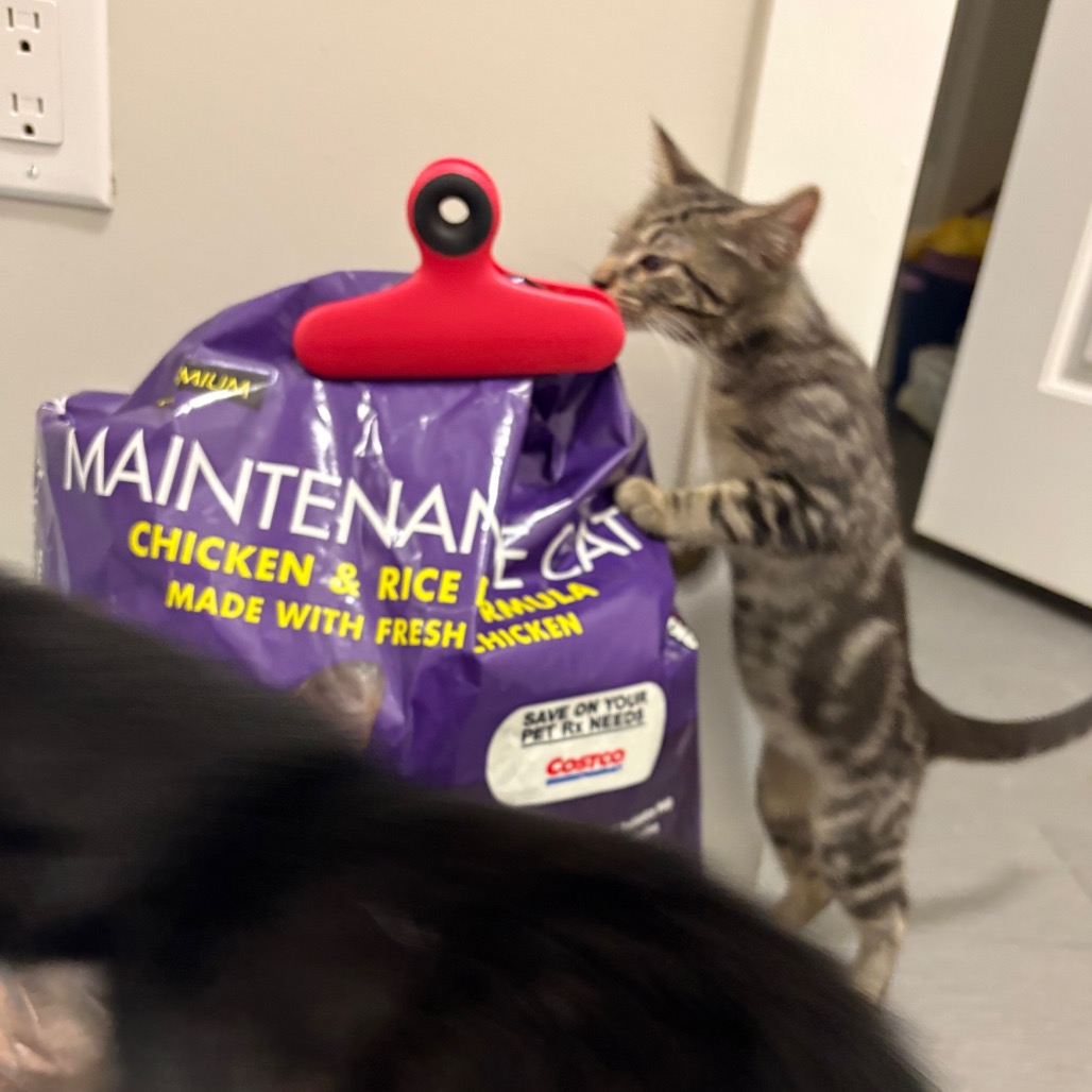 0e6a66dfbc6f6e3e0d1b0c323f1f5fb1.jpeg