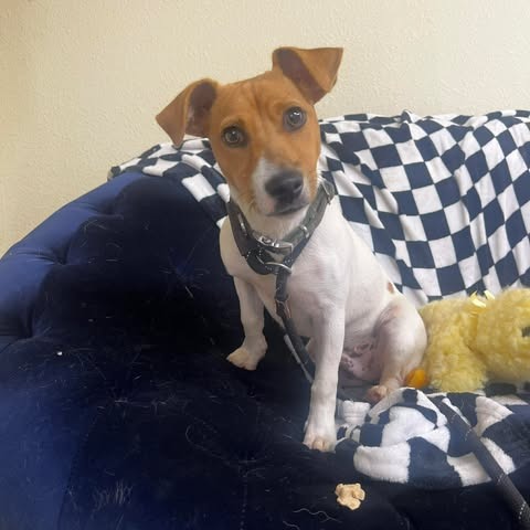 Photo of Cutter