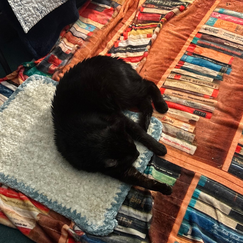 Aaron — thumbnail 4