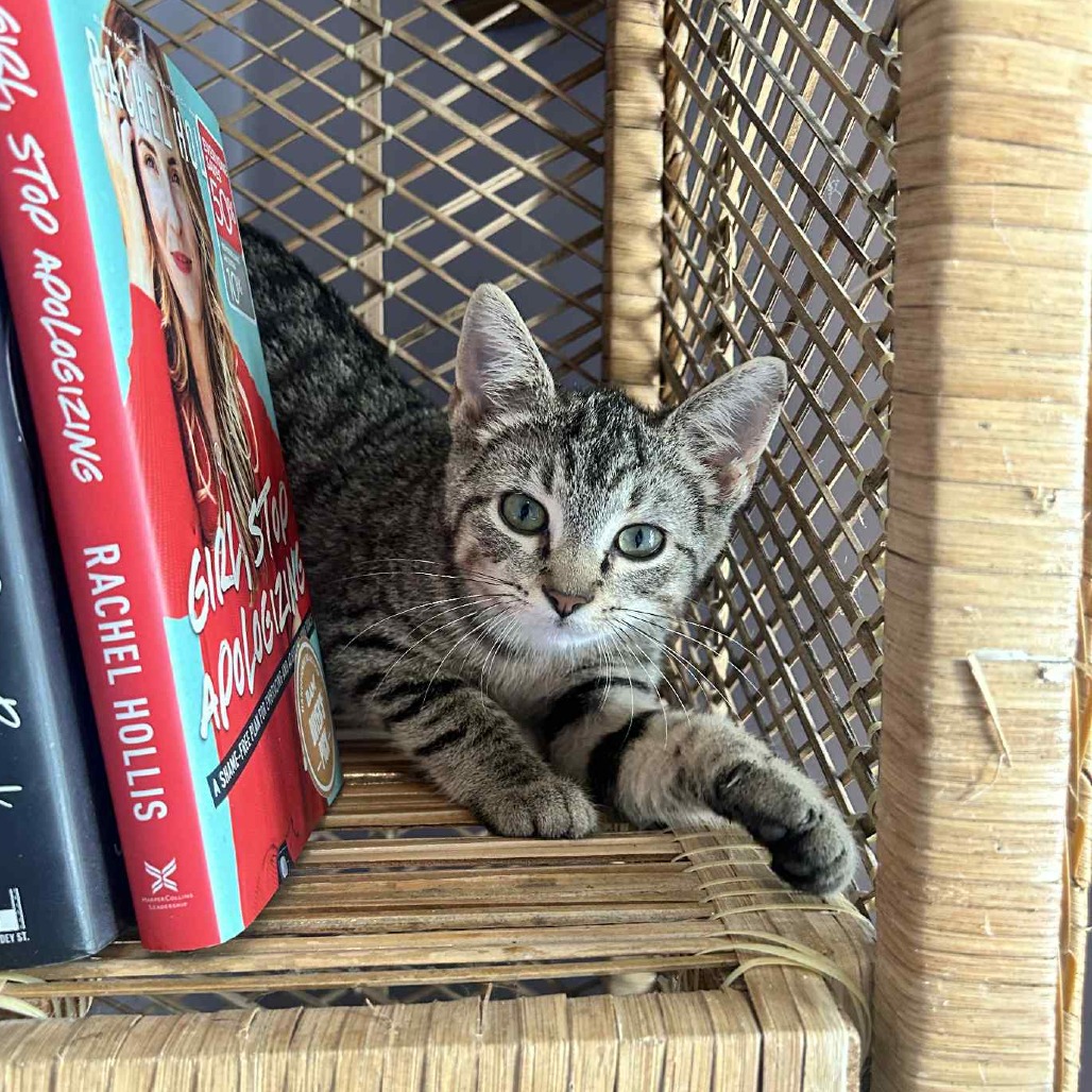 Blossom — thumbnail 2