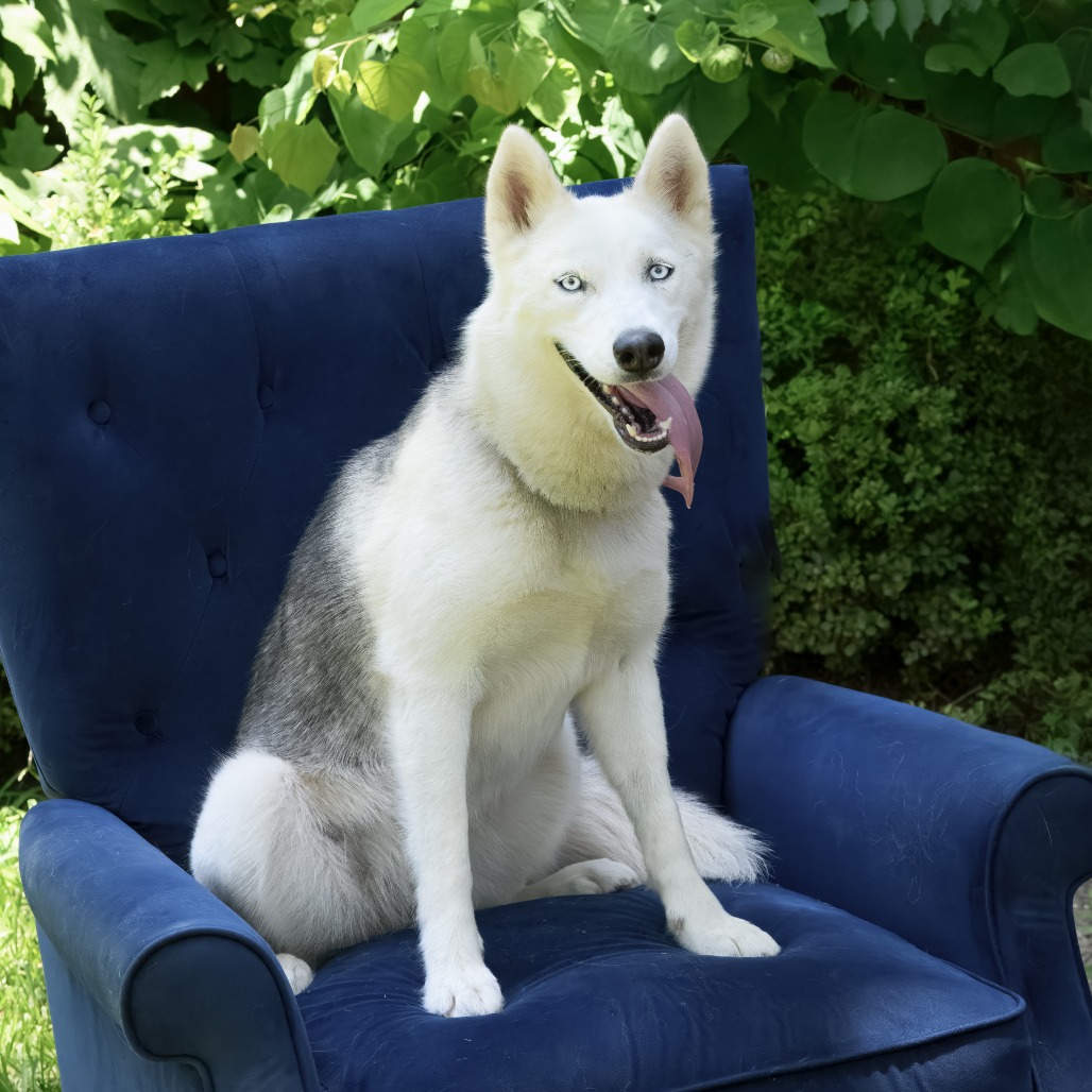 Photo of Reno "Reba"