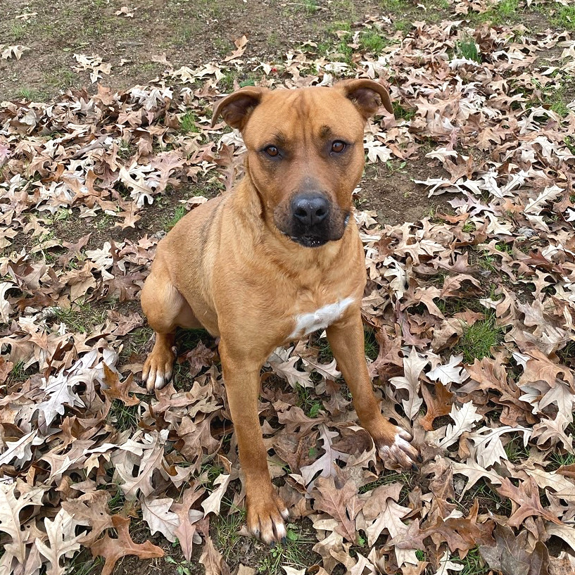 Elsie, photo 11