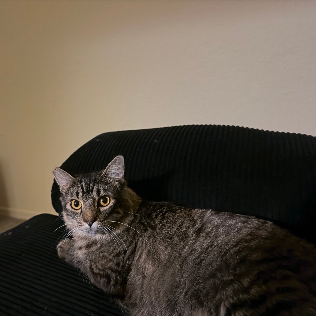 Tuffy photo 3
