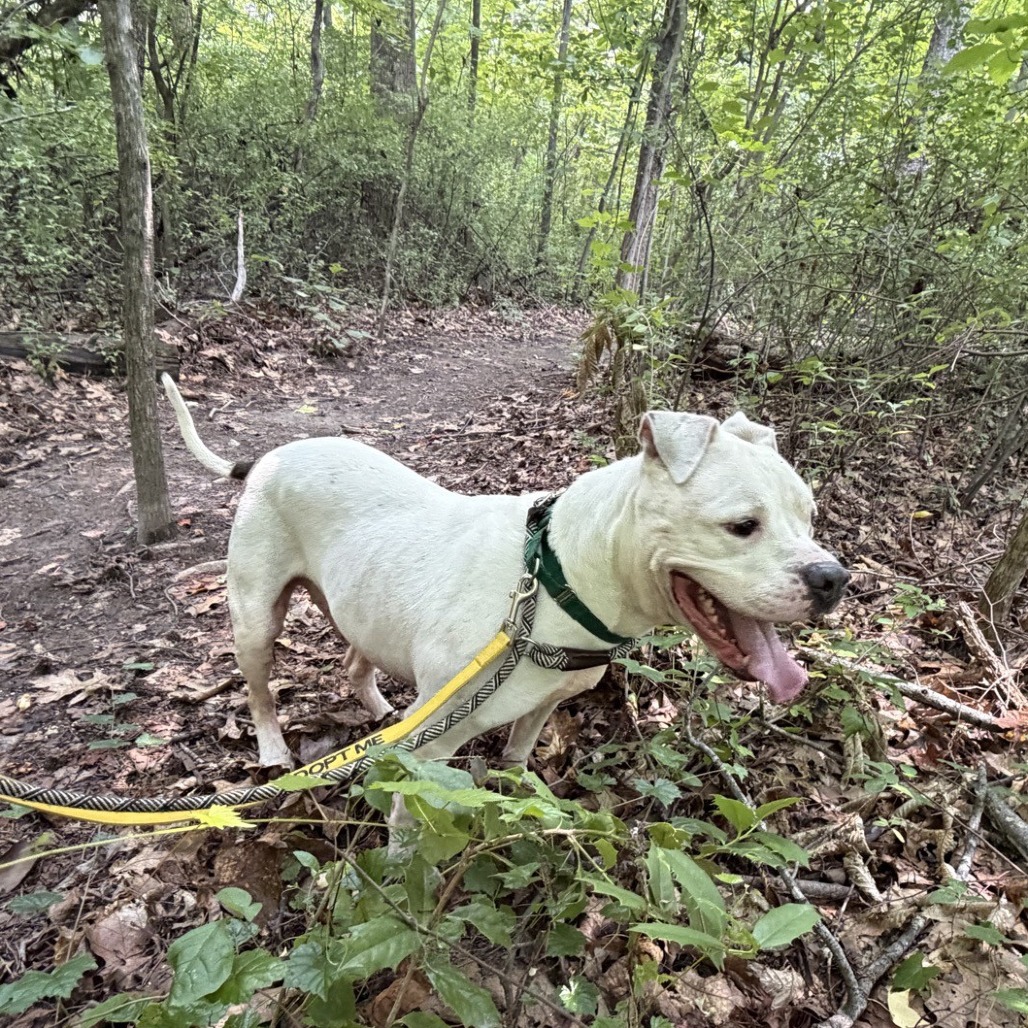 Ice Hill, photo 12