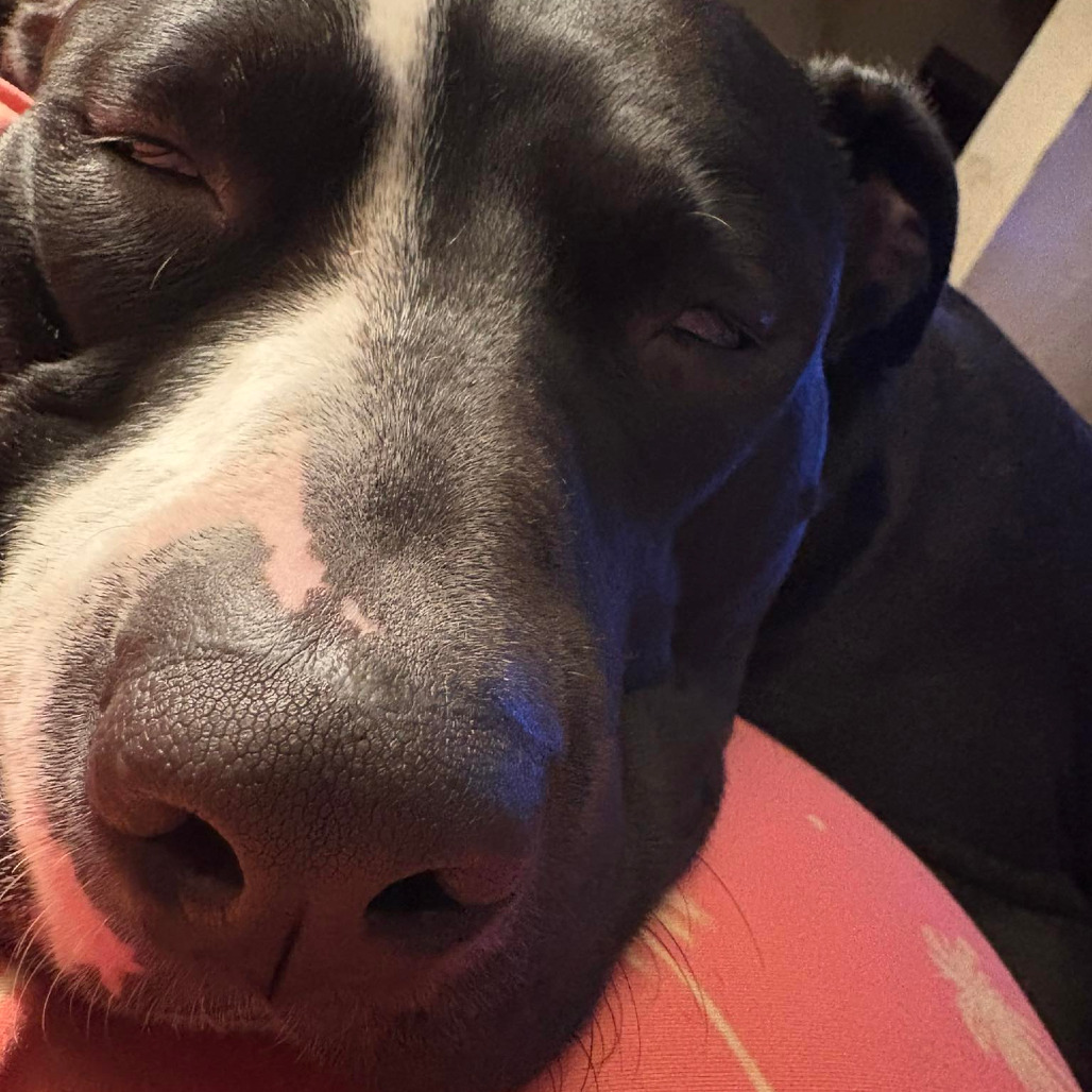 Photo of General Tso 77