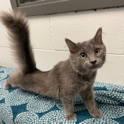 Daisy Jane — thumbnail 2