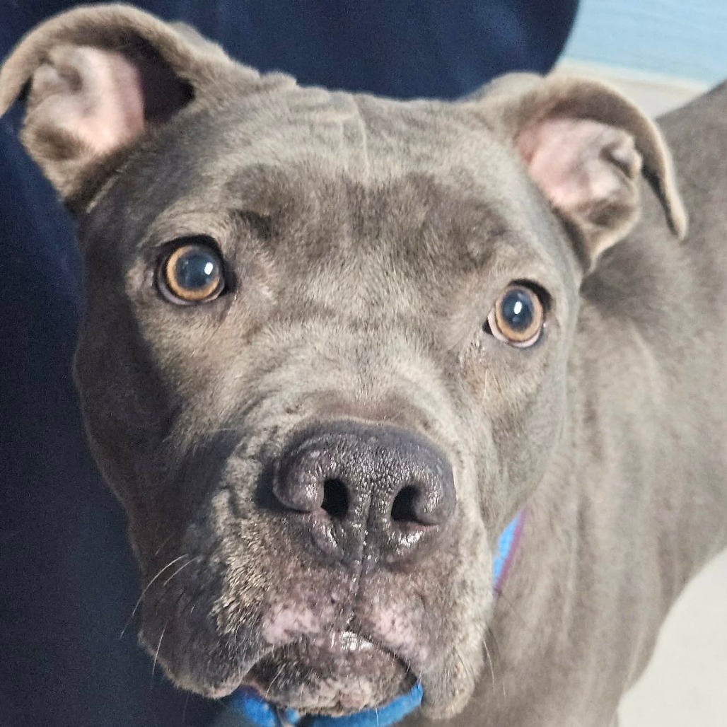 Stacey — thumbnail 4