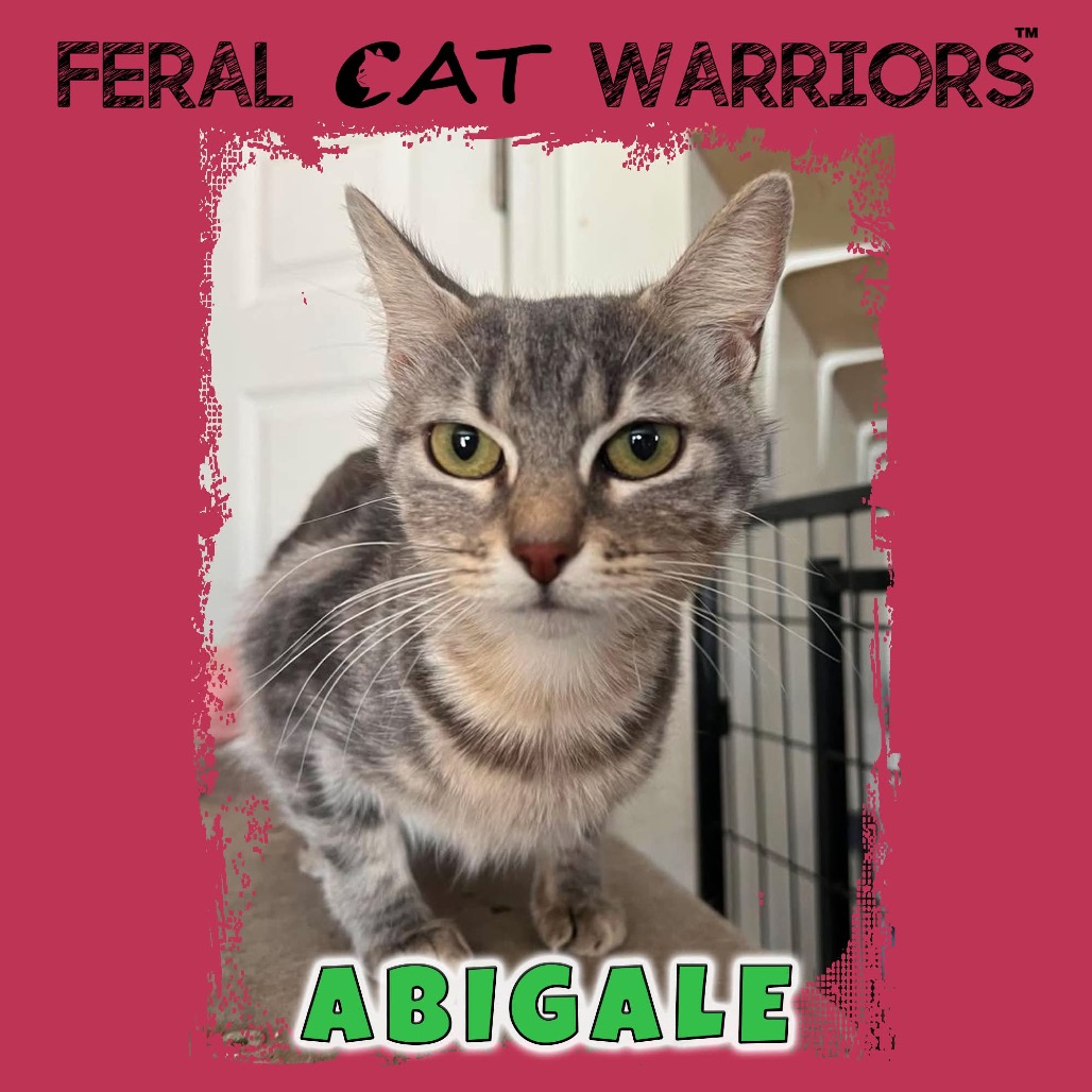 Abigale
