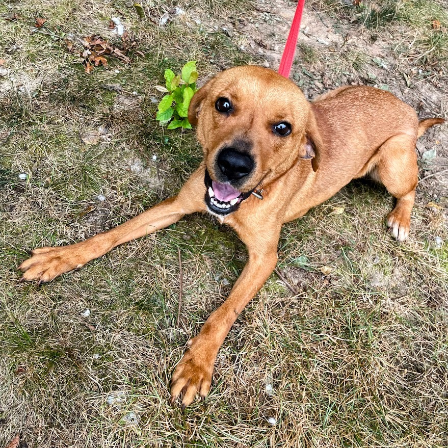 Darla — thumbnail 3