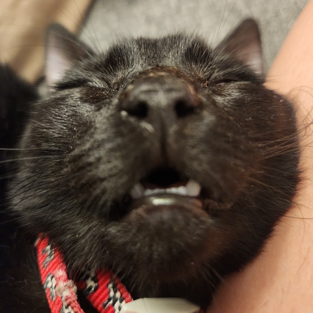 Just Raisins, photo 27