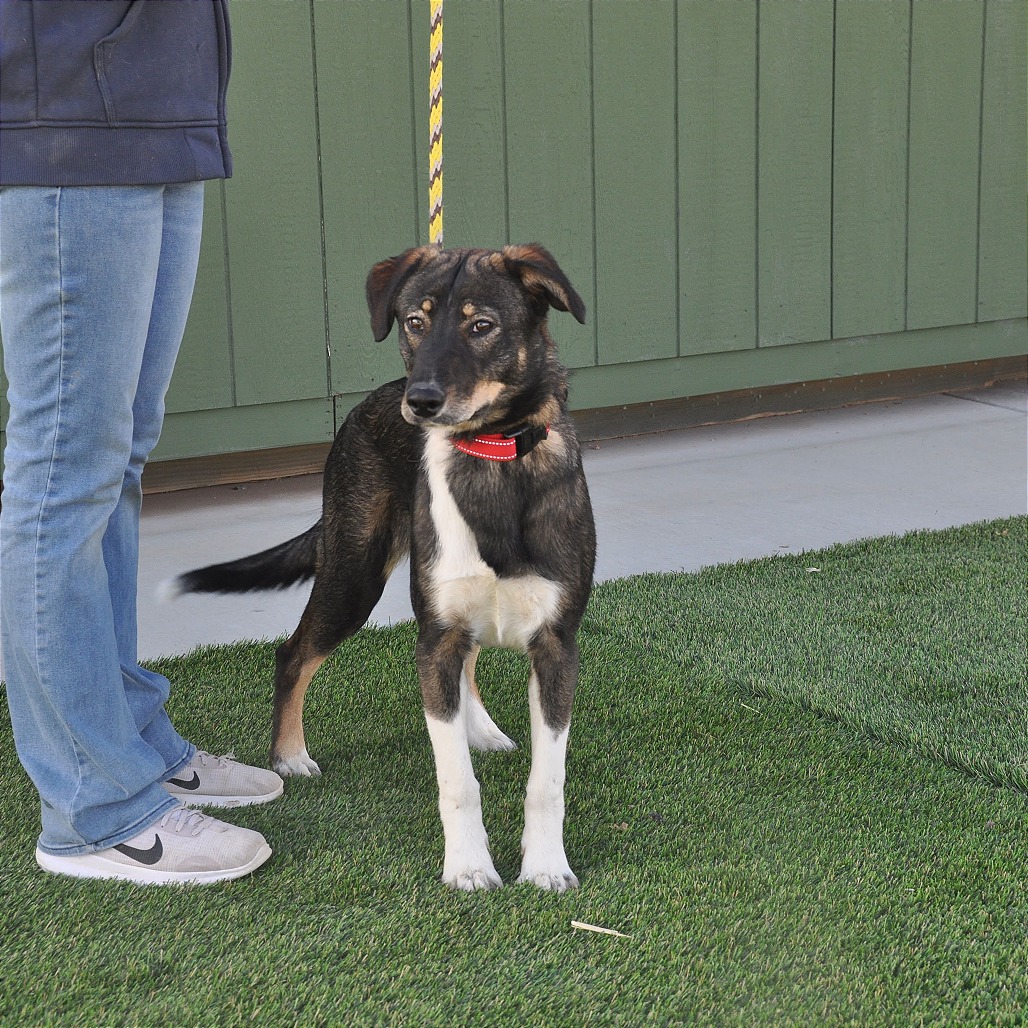 Mocha — thumbnail 4