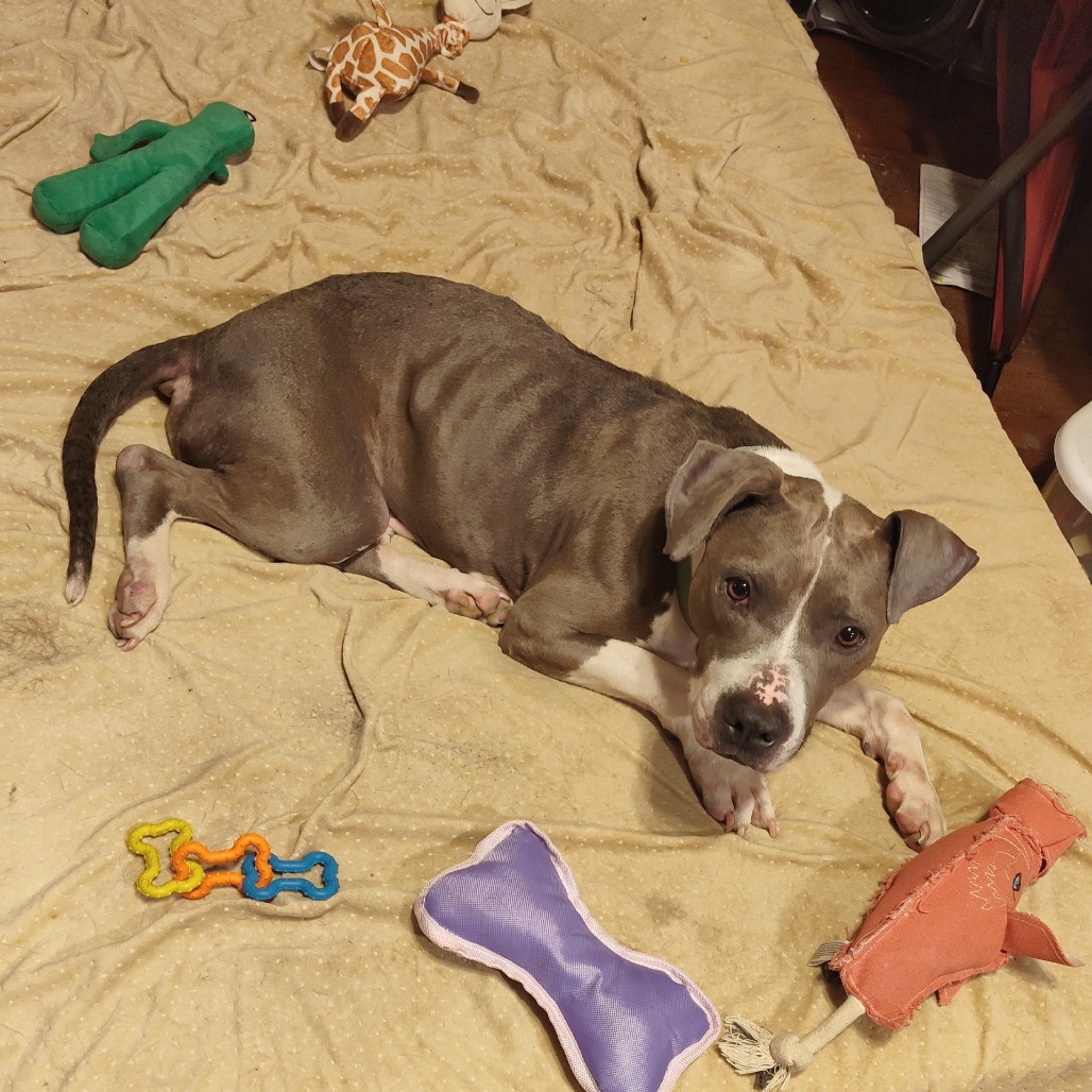 Kari Okie, photo 6