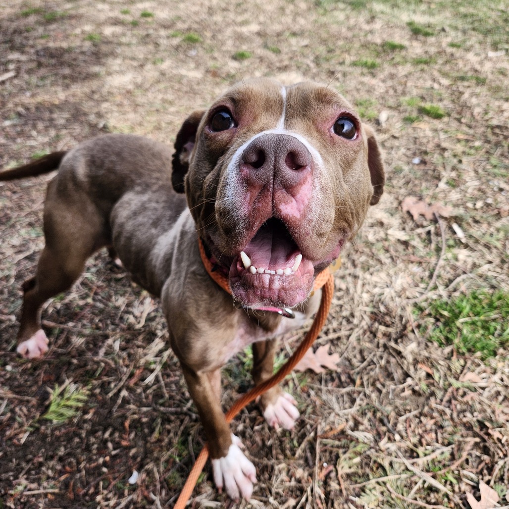 Kaspian — thumbnail 5