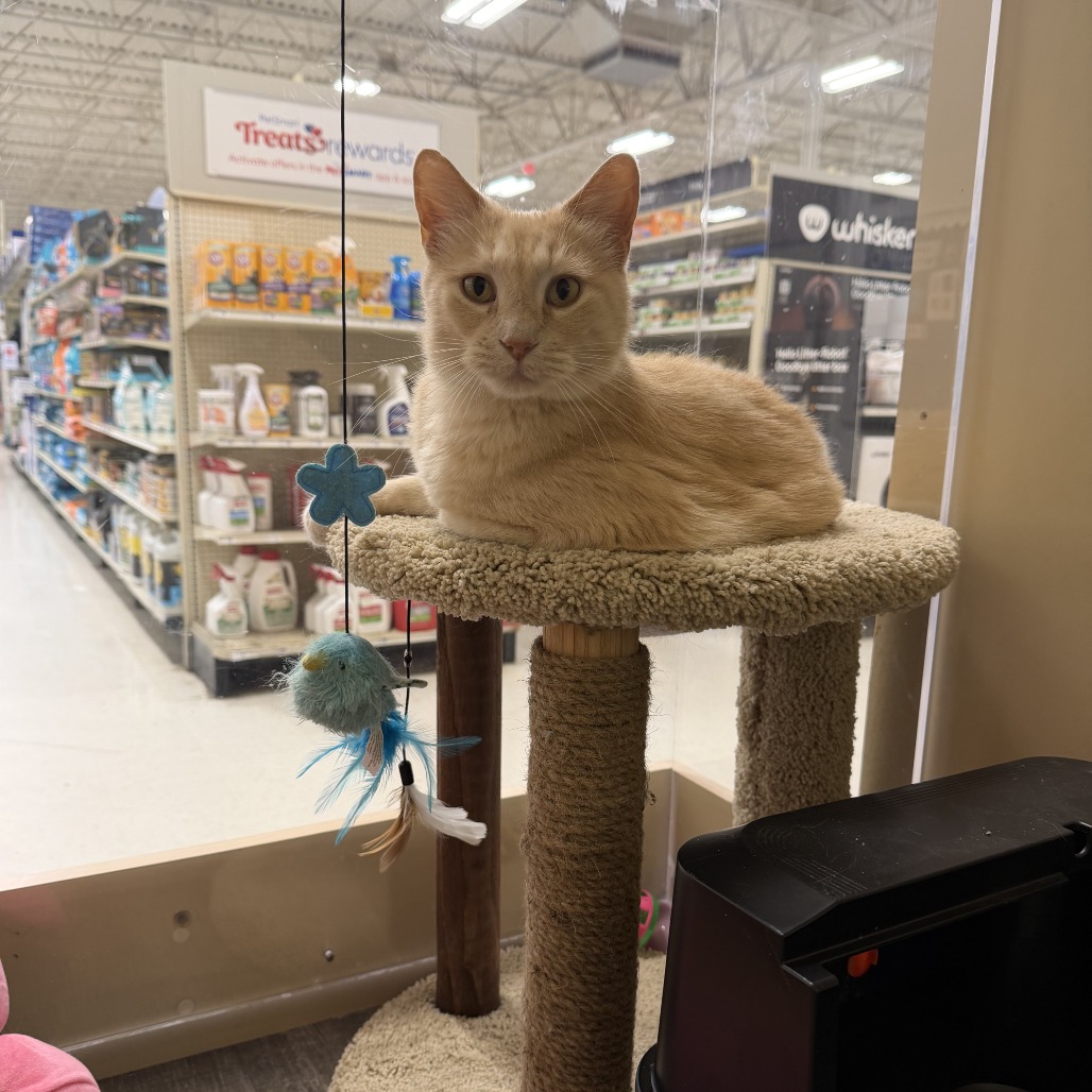 Ray, adopted