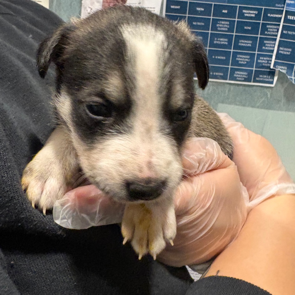 Bologna — thumbnail 11