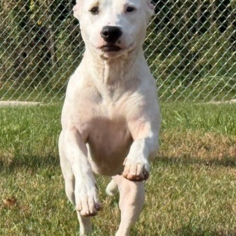 Kaya, photo 6