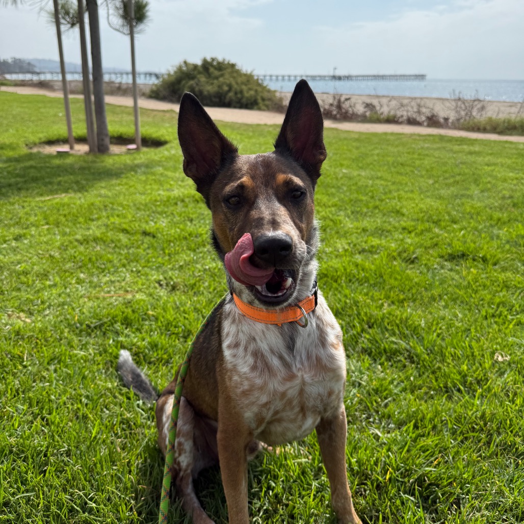 Cash, photo 10