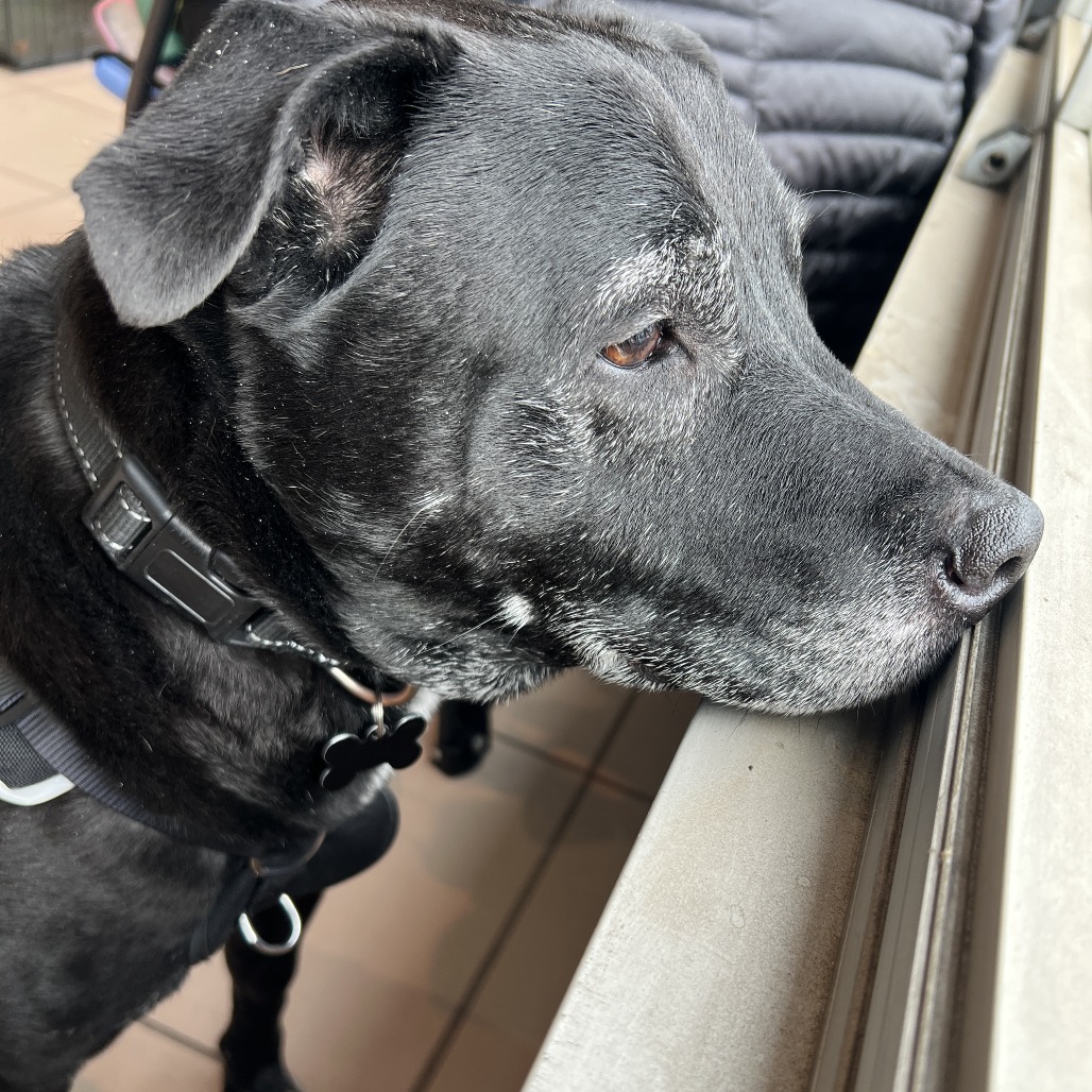 Melvin, photo 22