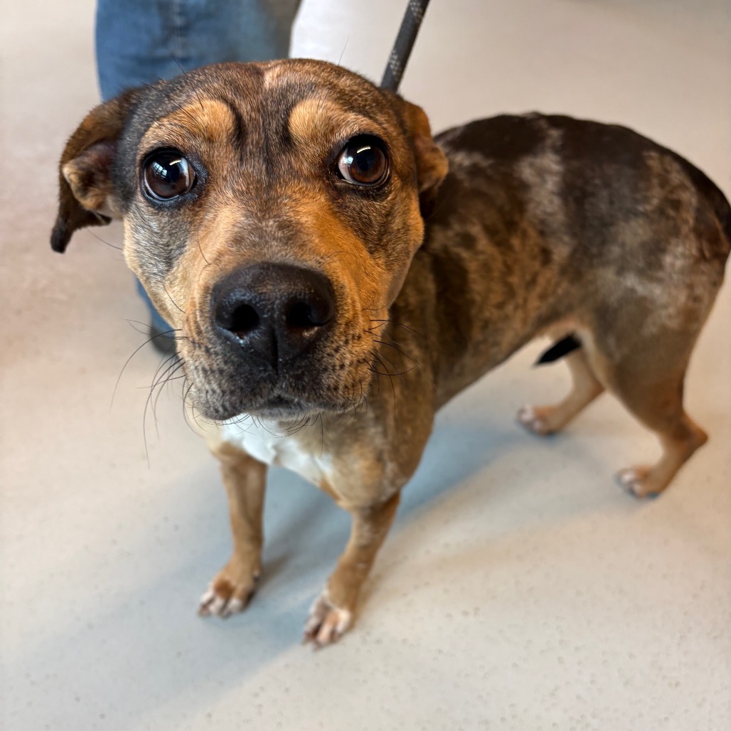 Aloha — thumbnail 3