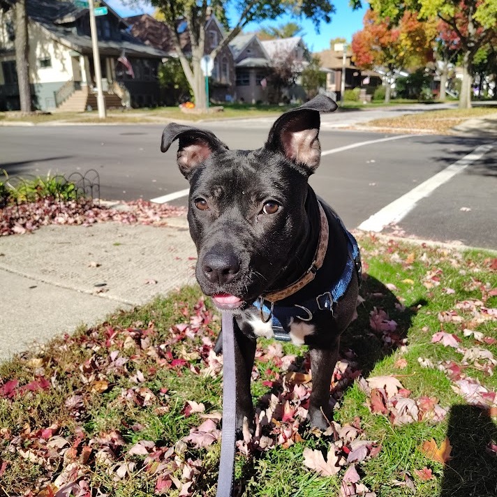 Babybel — thumbnail 5