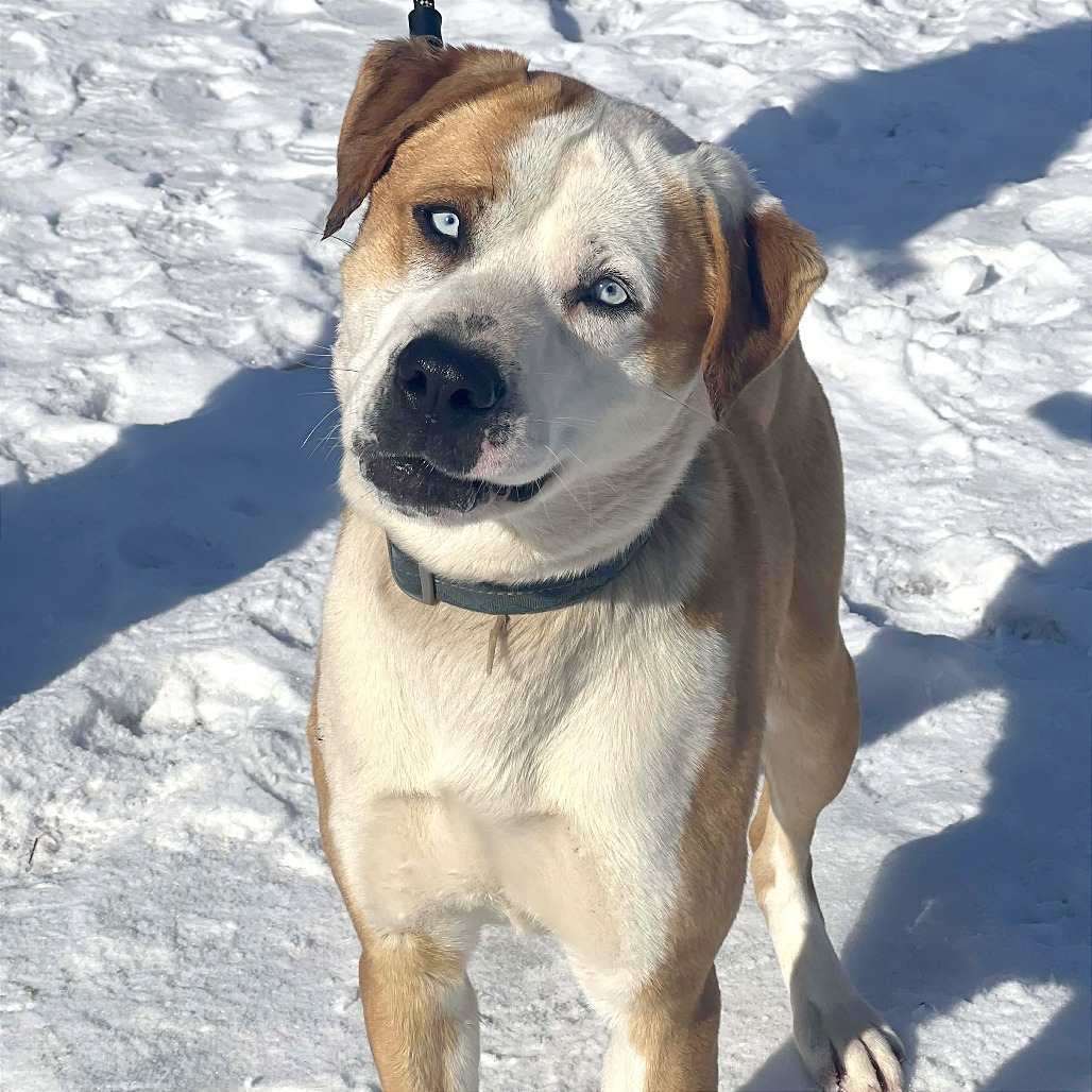 Frankie — thumbnail 5