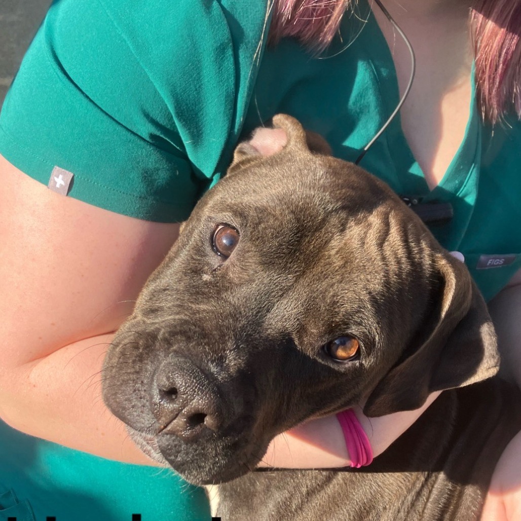 Mary Alice — thumbnail 2