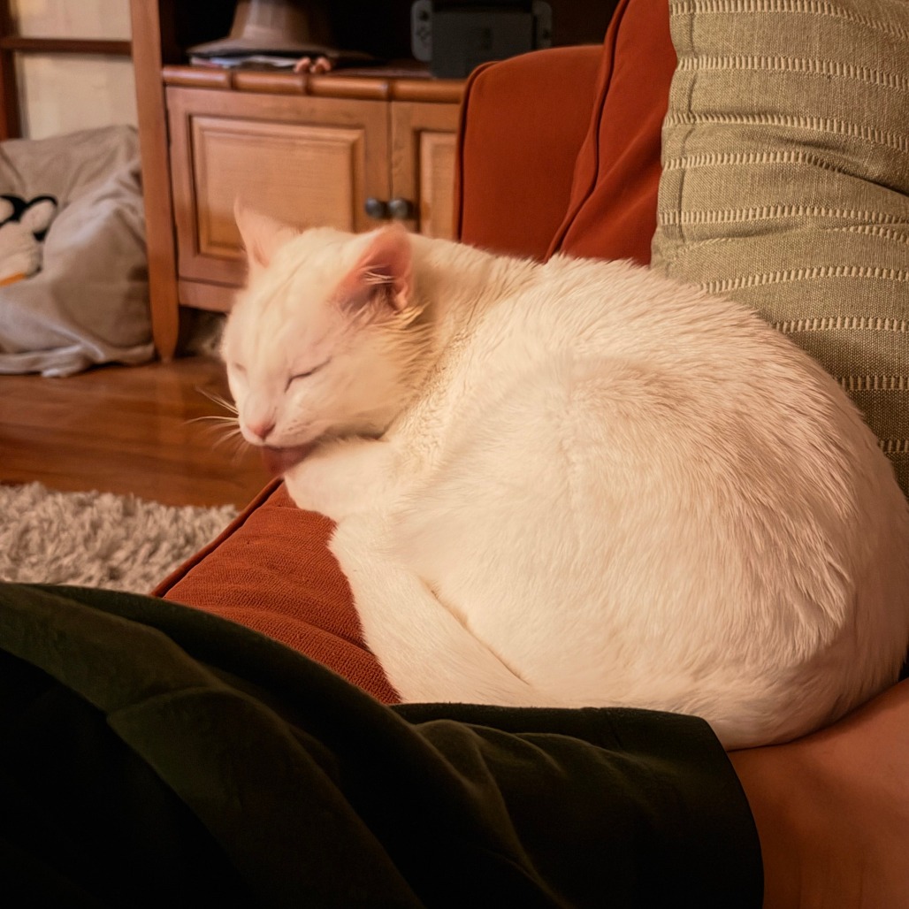Casper, photo 4