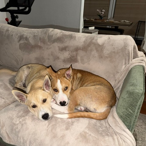 Max photo 7