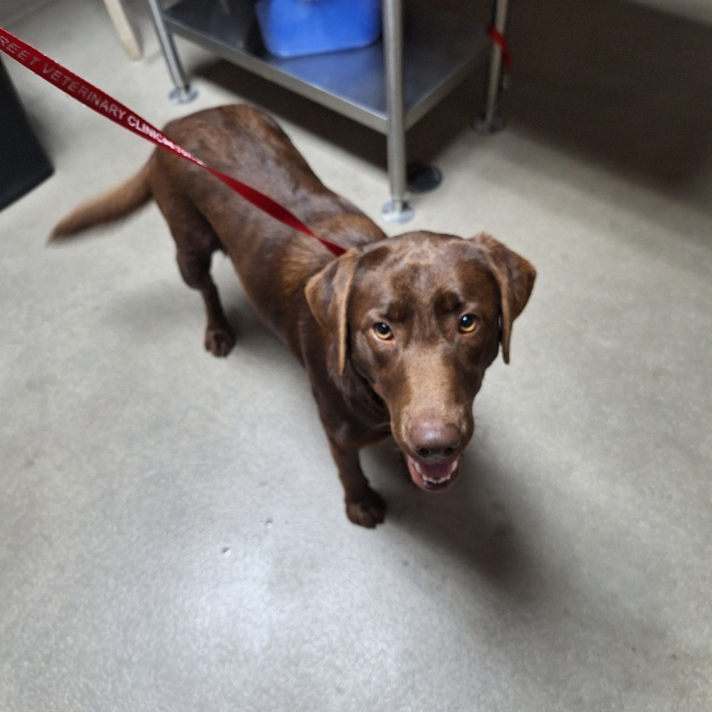 Kennel#33 Princess's preview photo