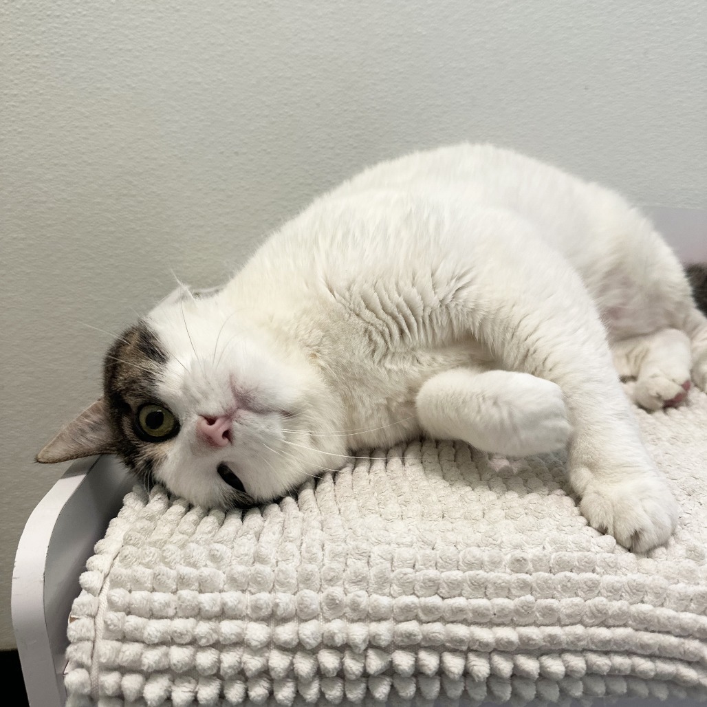 Redis — thumbnail 8