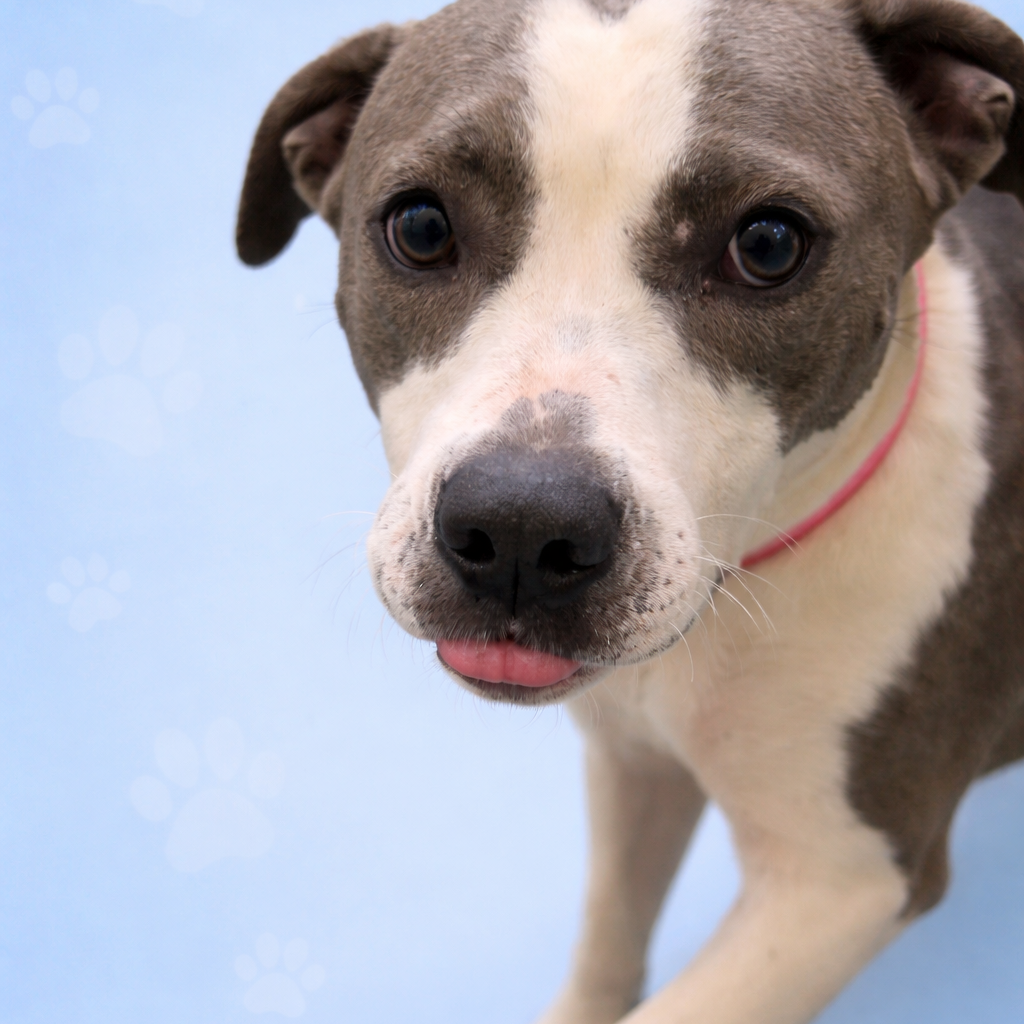 Happy — thumbnail 5